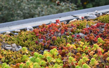 the cost of Blaydon Haughs green roof installation