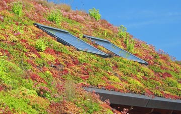 Blaydon Haughs living roof systems