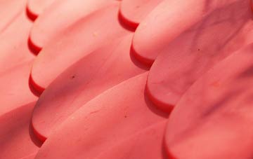 Blaydon Haughs plastic roof costs