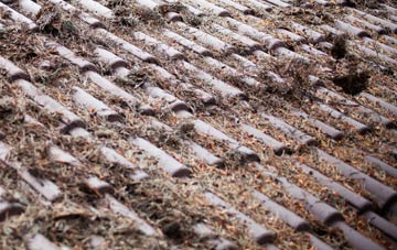 Blaydon Haughs roof cleaning companies