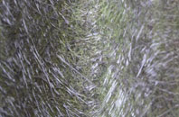 Blaydon Haughs fibreglass roof work